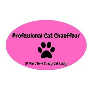 Crazy Cat Lady‎ Funny Magnet Pink Black NEW